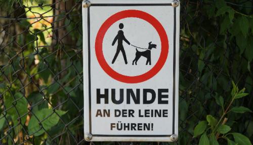 Symbolbild: Fixipixi / Pixabay